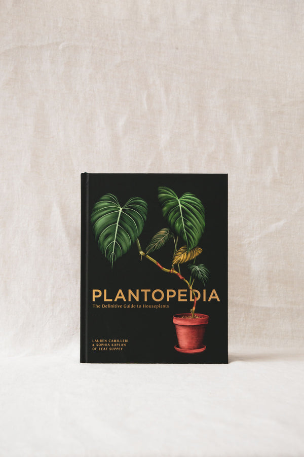 Plantopedia | The Definitive Guide to Houseplants