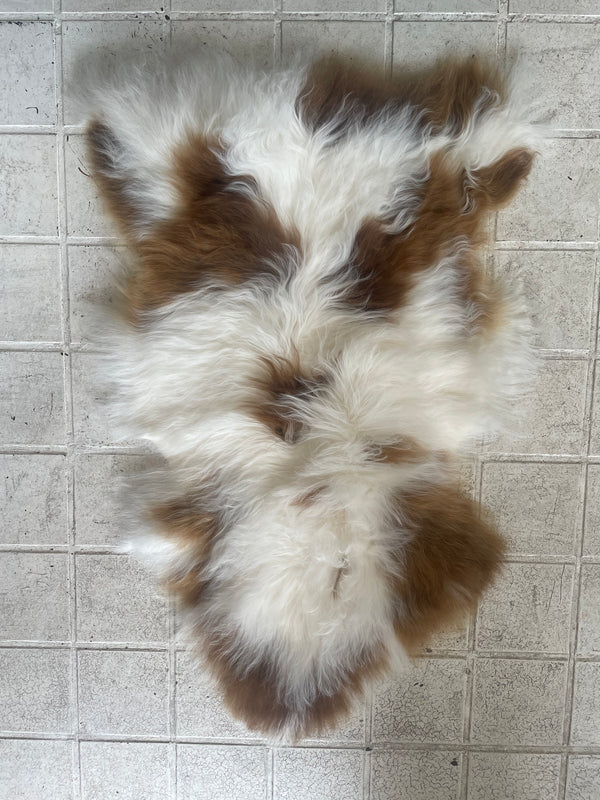 Rare Breed Sheepskin Rug