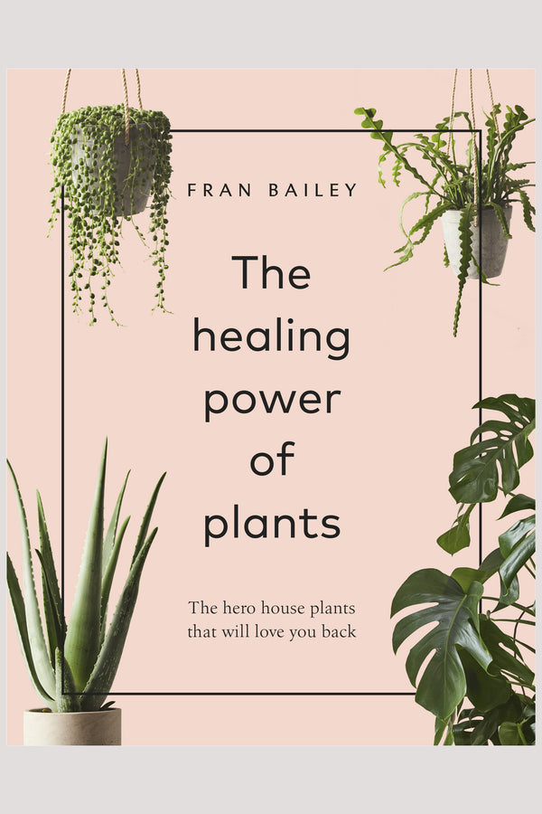 closeup product shot of book, the healing power of house plants, available at Ondine Ash, Falmouth