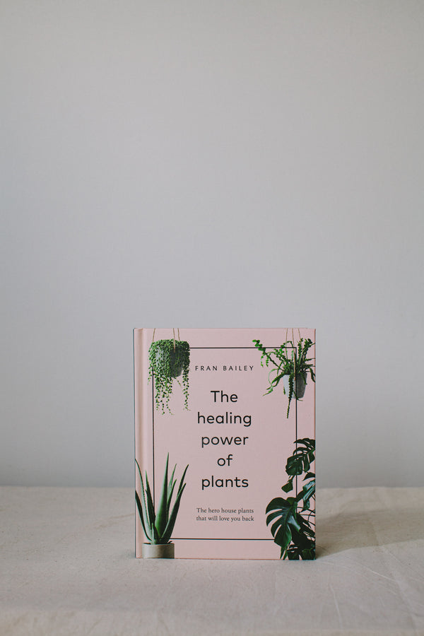 Product shot of book, the healing power of house plants, available at Ondine Ash, Falmouth