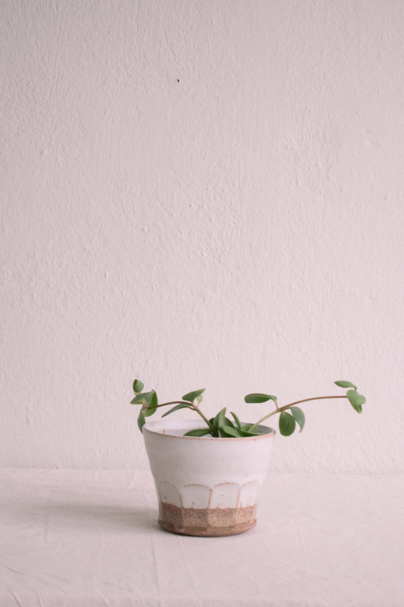 Handmade faceted plant pot by Tim Lake. Displayed with a hope plant.